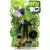 Ben 10 (Original) - SixSix