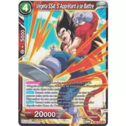 Vegeta SS4, S'Apprêtant à se Battre