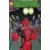 Deadpool 6