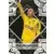 Paul Bernardoni - Angers SCO