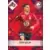 Zeki Çelik - LOSC Lille