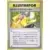 1997 - Pokémon Illustrator