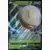 Cartes Pokemon Jumbo XXL - SWSH - Electrode de Hisui V - Jumbo
