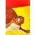 Dragon Ball Universal Collection - Tortue de mer