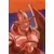Dragon Ball Universal Collection - Sû-Shinron