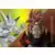 Super Yi-Shinron vs Gogeta Super Saiyan 4