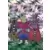 Dragon Ball Universal Collection - Groupe #21