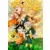 Dragon Ball Universal Collection - Groupe #13