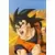 Dragon Ball Universal Collection - Goku