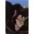 Gohan Singe Géant