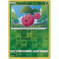 Cherubi Reverse