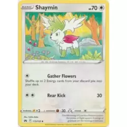 Shaymin - Unleashed - Pokemon