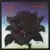 33 Tours (Albums) - Thin Lizzy - Black Rose