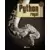 Livres en vrac - Python royal