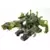 Transformers Prime Beast Hunters - Apex Hunter Armor with Breakdown (Cyberverse)