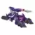 Transformers Prime Beast Hunters - Beast Hunters Predacons Rising Cyberverse (Shockwave vs Bombshock)