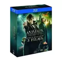 Les Animaux fantastiques + Les Crimes de Grindelwald + Les Secrets de Dumbledore [Blu-Ray]