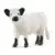 Vache Galloway