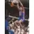 1994-95 Upper D.E.C.K - NBA Basketball - P.J. Brown