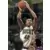 Vin Baker ART