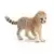 Bébé Guépard