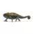 Caméléon