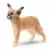 Jeune Caracal