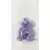 Skeleton Purple