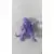 The Beast Purple