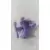 Witch Purple
