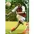 Panini Derby Total Evolution 2006-2007 - David Ducourtioux - Sedan