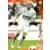 Panini Derby Total Evolution 2006-2007 - Jan Koller - Monaco