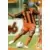 Marc Boutruche - Lorient