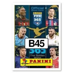 Image B45