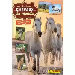 Album