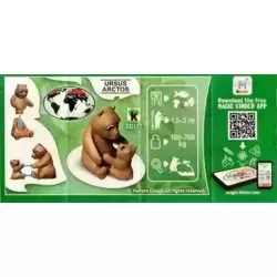 BPZ ours et ourson