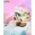Muckey Dreamy Life - Ice Treasure