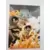 Monkey D. Luffy , Portgas D. Ace