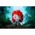 Disney Princess - Merida