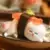 Vivicat Sweet & Delicate - Sushi