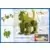Animaux Robots - BPZ chat