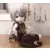 Nendoroid Doll - Inventor : Kanou