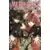 Meru Puri - The Märchen Prince - Tome 1 - Nouvelle Edition