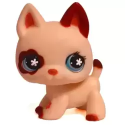 LPS 544