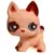 LPS 544