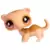 LPS 652