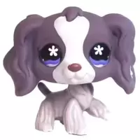 LPS 672