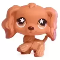 LPS 716