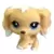 LPS 757