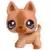 LPS 768